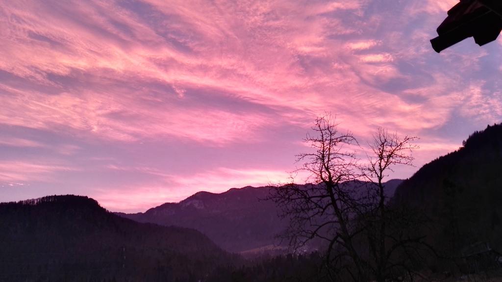 Appartement Bernarda *